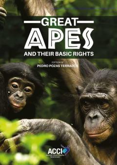 (I.b.d.) Great Apes And Their Basic Rights