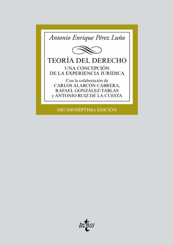 Teoria Del Derecho (17ª Ed.): Una Concepcion De La Experiencia Juridica
