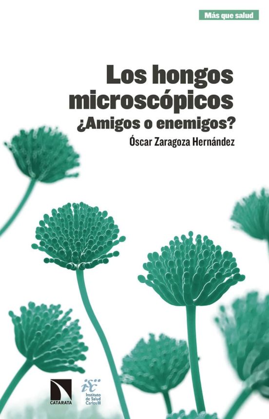 Los Hongos Microscópicos