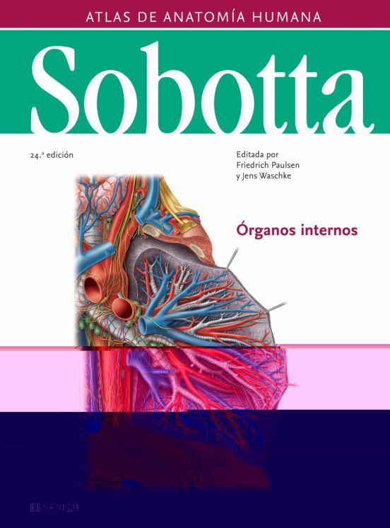 Sobotta. Atlas De Anatomia Humana Vol 2 (24ª Ed.)